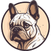 French Bulldog, Frenchie, Puppy