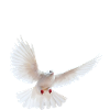 Zitate Freiheit