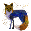 Fuchs bei Nacht