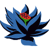 Magic: Samlingen Den sorte lotus