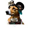 Jack the Steamrock
