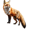 Roter Fuchs – Wildtier Alpen Design
