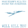 Shark Underwater Angler Teeth