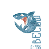 Requin Animal Plongeur Prédateur