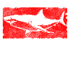 Shark Animal