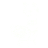 llama,alpaca, illustration, comic,white