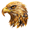 Eagle Head Gold Bird of Prey Bird Animal Nature