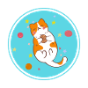 Cute playing kitten