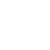 number 5 initial