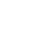 number 6 initial