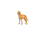 Seeing Eye Human 30