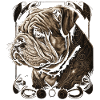 Art du bouledogue anglais