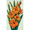 Illustration Orange Gladiolus