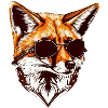Fox cool with sunglasses