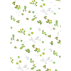 Autumn Leaves Summer Leaves Pattern