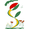 Flower 1