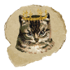 Chat