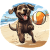 Dog playing beach volleyball