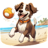 Dog playing beach volleyball