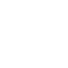 Owl Owl Bird Birds