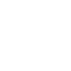 Owl Owl Bird Birds