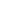 Owl Owl Bird Birds