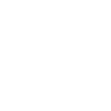 Owl Owl Bird Birds