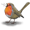 Occitan robin