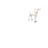 Cowfather Kuhpapa