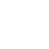 Sea Turtle Tortoise Introverted