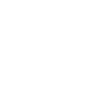 100% Original Norbert