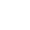 100% Original Olli