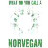 Vegetarian Viking Norvegan