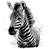 Zebra Africa Animal