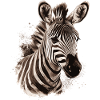 Zebra Africa Animal