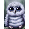 Baby-Kauz