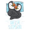 puffin puffin auke birds Lunde