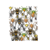 Araignée