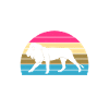 Löwe Löwen