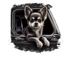 Chihuahua | Chapeau Policier Chien Drôle