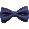 noeud papillon classe