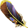 Feather