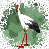 Stork
