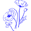 Poppy, Flowers