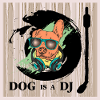 dog is a dj