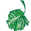 Nature - Green Leaf