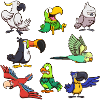 Cartoon Tropical Birds