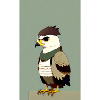 Eagle | Birds | Freedom | Animals