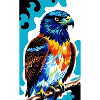 Eagle | Birds | Freedom | Animals