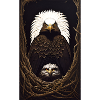 Eagle | Birds | Freedom | Animals